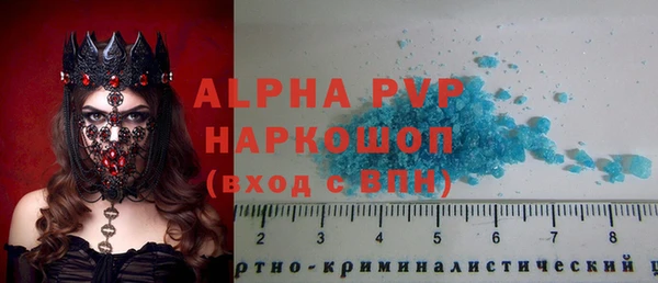 дживик Белокуриха