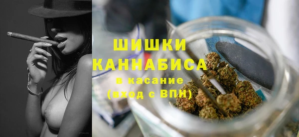 дживик Белокуриха