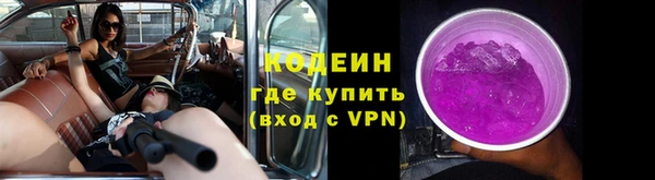 дживик Белокуриха