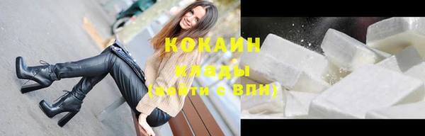дживик Белокуриха