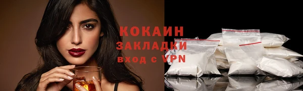 дживик Белокуриха