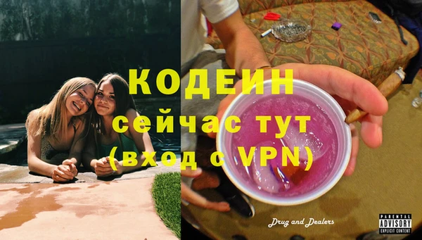 дживик Белокуриха