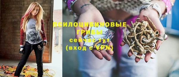 дживик Белокуриха