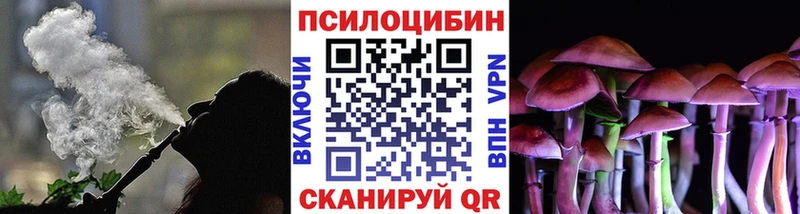 Псилоцибиновые грибы прущие грибы  наркотики  Дмитров 